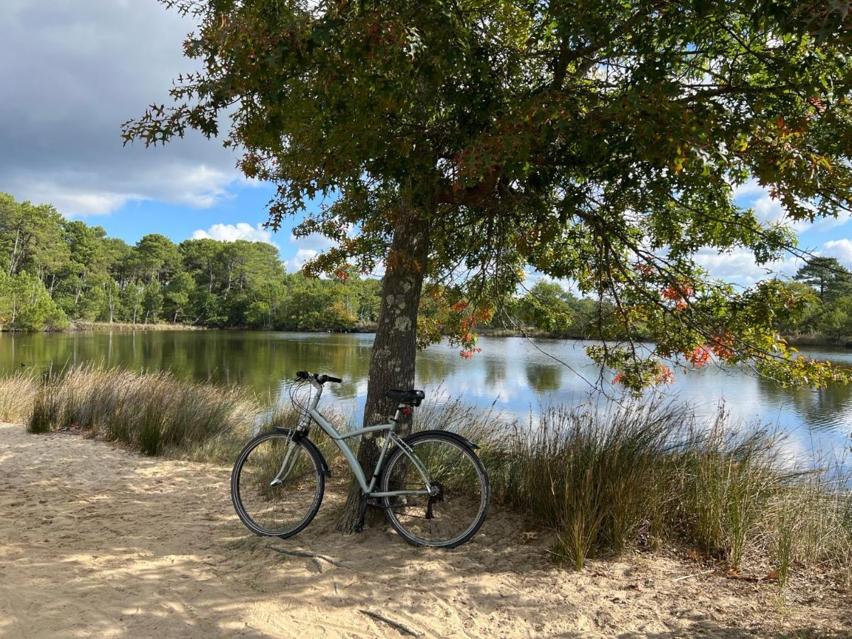 Bassin D'arcachon, Maison Climatisee Au Calme, Proche Holiday home Lanton