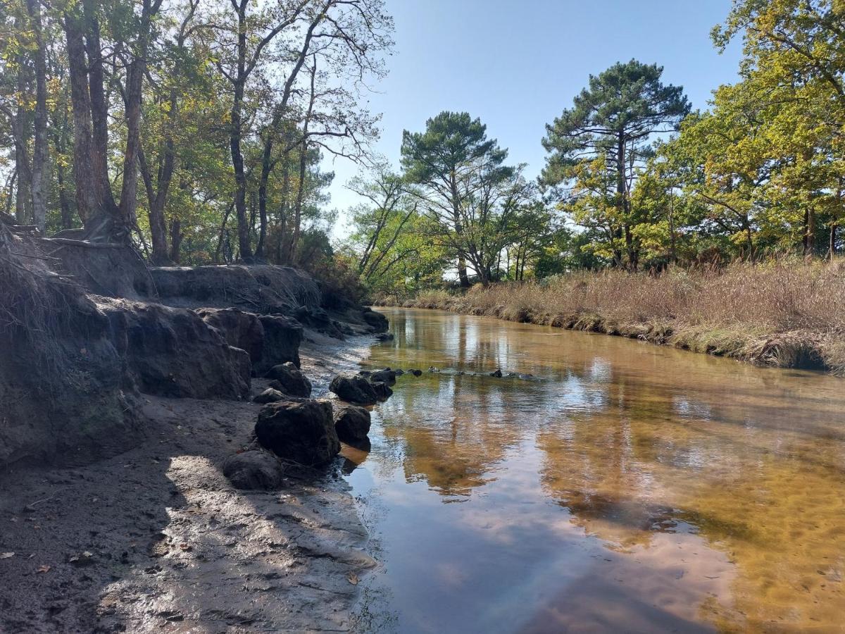 Bassin D'arcachon, Maison Climatisee Au Calme, Proche Lanton